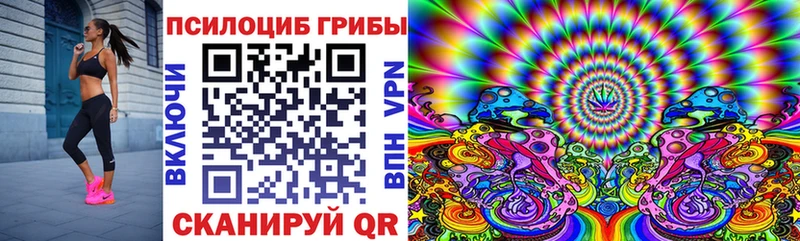 Купить  Печора  Псилоцибиновые грибы Magic Shrooms 